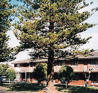 Eastern Beach Holiday Units - Accommodation Fremantle