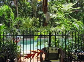 Daintree Rainforest Retreat Motel - Accommodation Fremantle 0