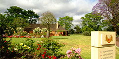 Houghton Winery - Accommodation Fremantle 0