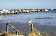 Yahl SA Accommodation Fremantle