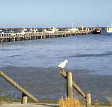 Seaview Motel and Holiday Units - Accommodation Fremantle