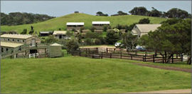 Cape Schanck VIC Accommodation Fremantle