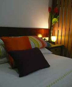 Daintree Rainforest Retreat Motel - Accommodation Fremantle 3