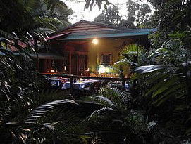 Daintree Rainforest Retreat Motel - Accommodation Fremantle 4