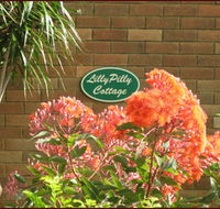 Lillypilly - Accommodation Fremantle