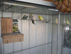 Yarragon Motel - Accommodation Fremantle 1