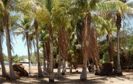 King Sound Resort Hotel - Accommodation Fremantle