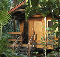 Cape Trib Beach House - Accommodation Fremantle