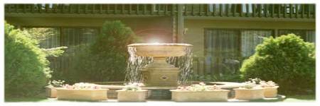 Best Western Tall Trees Motel - Accommodation Fremantle 2