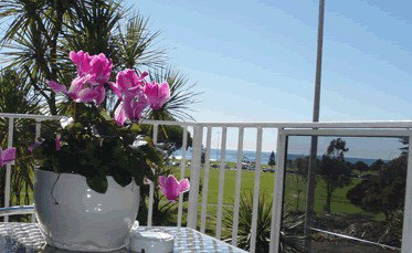 Beach Park Motor Inn - Accommodation Fremantle 3