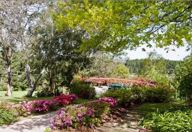 Bilpin Resort - Accommodation Fremantle 2