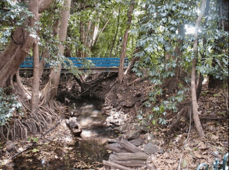 Rainforest Grove Holiday Resort - Accommodation Fremantle 3