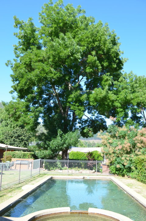 Bright Colonial Inn Motel - Accommodation Fremantle 4