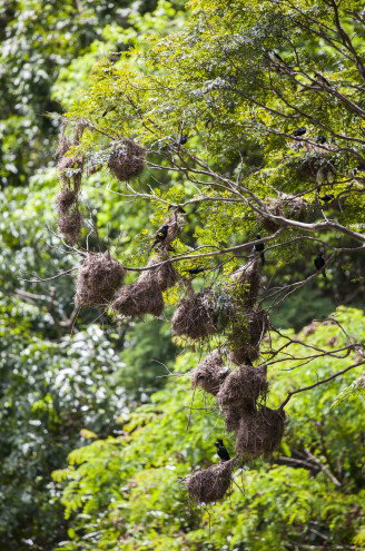 Lake Placid Tourist Park - Accommodation Fremantle 4