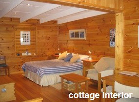 Anglesea Rivergums - Accommodation Fremantle 0