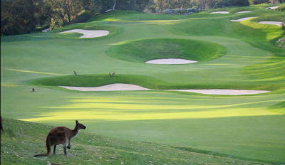 Joondalup Resort - Accommodation Fremantle 9