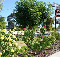 Narrogin Motel - Accommodation Fremantle