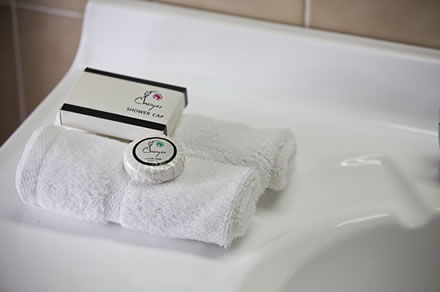 Cumberland Motor Inn - Accommodation Fremantle 7