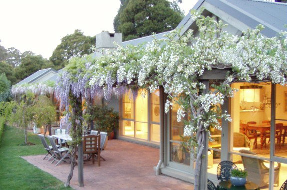 Mount Tomah NSW Accommodation Fremantle