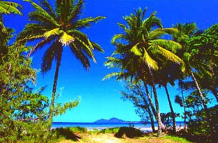 Mission Beach Rainforest Motel - Accommodation Fremantle 1