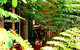 Mission Beach Rainforest Motel - thumb 3