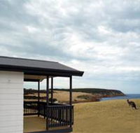 Waves and Wildlife - Accommodation Fremantle