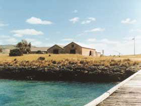 Mt Dutton Bay Woolshed Hostel - Accommodation Fremantle 0