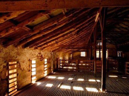 Bungaree Station - Accommodation Fremantle 3