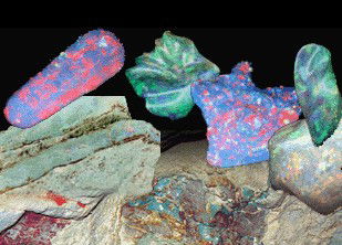 Umoona Opal Mine - Accommodation Fremantle 1
