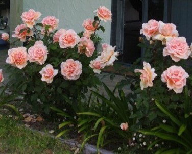 Lot 7 Cottage - Accommodation Fremantle 5