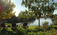 Paringa House B&B Stone Cottages - thumb 5