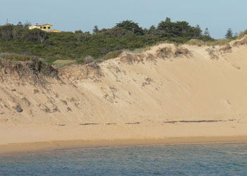Ark Bed And Breakfast - Accommodation Fremantle 1
