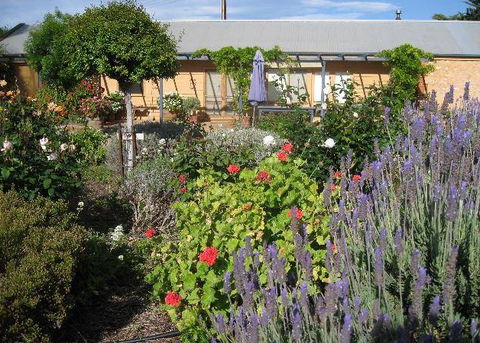 Peechabella Vineyards Bed & Breakfast - Accommodation Fremantle 3