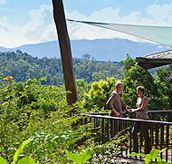Rose Gums Wilderness Retreat - Accommodation Fremantle
