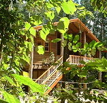 Rivers Edge Rainforest Retreat - Accommodation Fremantle