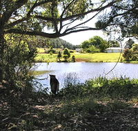 Newry Park Cottage - Accommodation Fremantle
