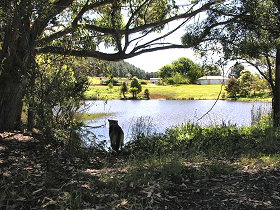 Newry Park Cottage - Accommodation Fremantle 0