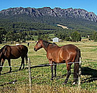 Hurlfield Farm Cottage - Accommodation Fremantle