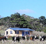 Marrawah Beach House - Accommodation Fremantle