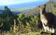 Rainbow Retreat Wilderness Eco Cabins - thumb 0