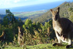 Rainbow Retreat Wilderness Eco Cabins - Accommodation Fremantle 0