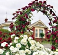 Golden Embers Apartments and B and B - Accommodation Fremantle