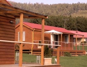 Maydena Country Cabins Accommodation & Alpaca Stud - Accommodation Fremantle 0