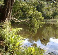Weldborough Camping Ground - Accommodation Fremantle