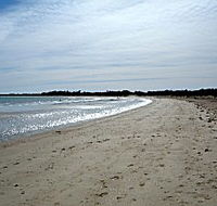 Greens Beach Caravan Park - Accommodation Fremantle