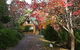 Woodbridge Hill Cottage - thumb 0