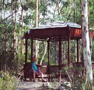 Telopea - Accommodation Fremantle