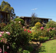 Mole Creek Holiday Village - Accommodation Fremantle