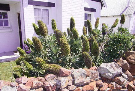 Lester Cottages Complex - Accommodation Fremantle 2