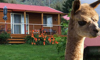Maydena Country Cabins Accommodation & Alpaca Stud - Accommodation Fremantle 1